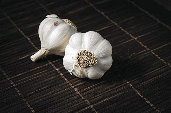 _two-white-garlics-928251_CMYK.jpg
